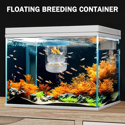 Large Floating Fish Breeding Box, Plastic Clear Breeding Box for Fish Tank | Aquarium Divider Incubator with Suction Cup, Adjustable Isolation Hatchery for Shrimp Guppy