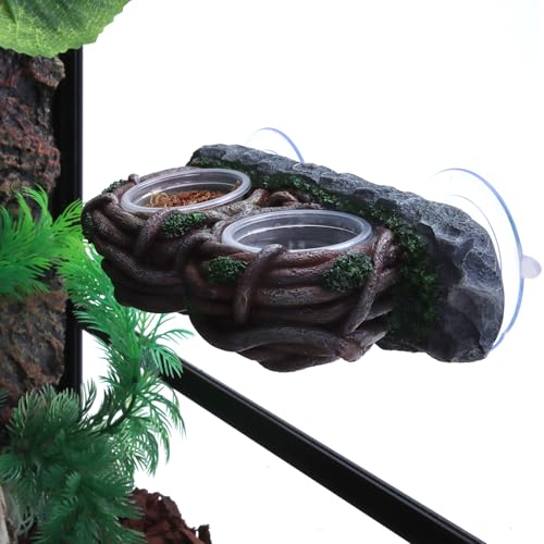 AIICIOO Crested Gecko Feeding Ledge Double Bowl Reptile Vine Food Ledge with 4 PCS Cup Corner Water Bowl for Lizard Snake Bearded Dragon Frog Turtle Terrarium Tank Decor - size: Vine Dual Feeder