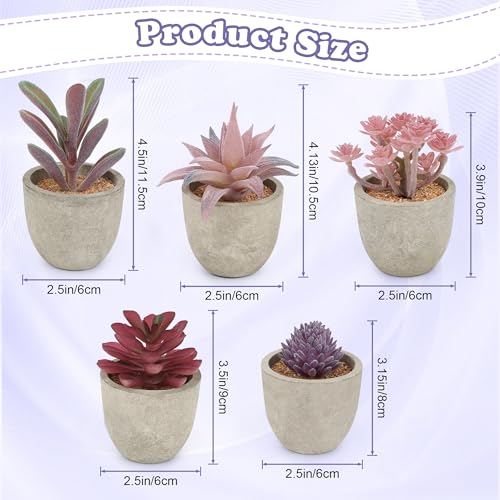 Coitak Artificial Succulent Plants Potted, Artificial Plants Indoor 5 PCS | Assorted Decorative Faux Succulent Potted, Fake Cactus Cacti Plants with Pots, Purple - color: Purple