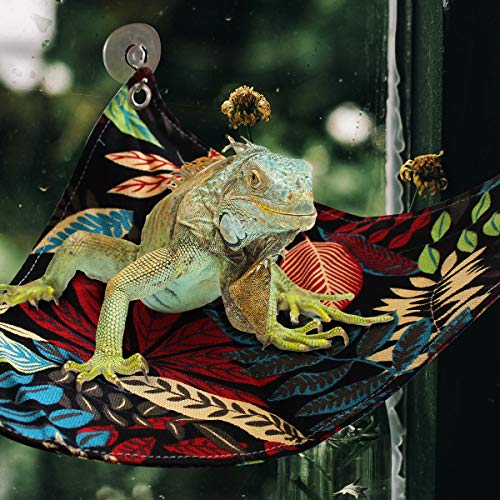 Bearded Dragon Hammock, Reptile Lizard Lounger Ladder Accessories Terrarium Habitat Decor for Large Small Bearded Dragons Geckos Lizards Snakes (Black)