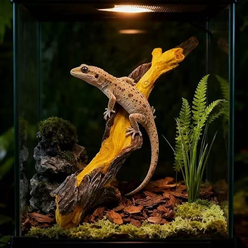 Reptile Climbing Tree Branch: Resin Wood Decor for Terrarium | Reptile Habitat- Safe Non-Toxic Easy to Clean - for Bearded Dragon Gecko Tree Frog Enrichment Accessories