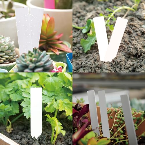 One Line Label, Succulent Plant, Plastic Waterproof Horticultural, T-Shaped Flower Label, 3.9 * 0.78inch, 200 Pcs