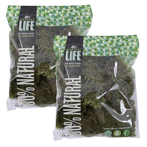 Mood Moss for Terrarium Habitats, Medium 2-Pack | Preserved Moss for Reptiles, Amphibians & Invertebrates Terrariums, Humidity Control, Soft, Dye-Free, Family Owned, USA Made - size: Medium 2-pack, style: Mood Moss
