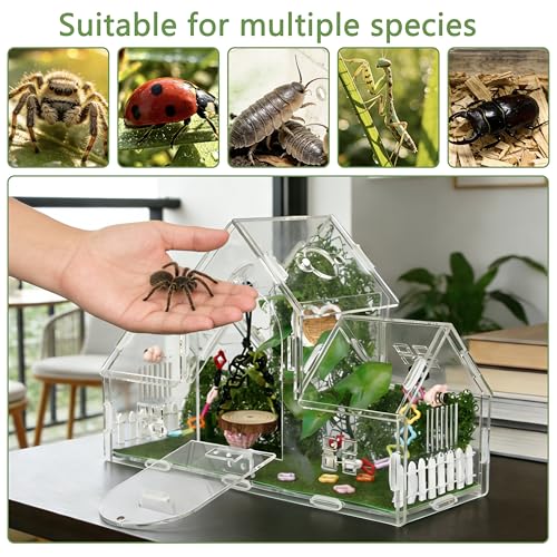 20-Piece Jumping Spider Enclosure Kit, Acrylic Terrarium with 360° View & Magnetic Doors, Complete Accessories Set for Tarantula, Mantis, Small Reptiles, 11.8" L x 4.5" W x 8" H - color: Green