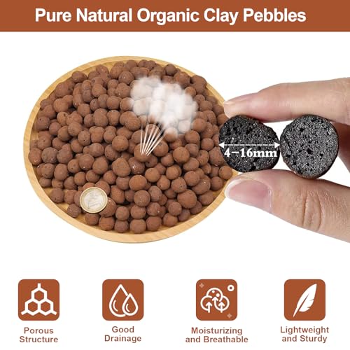 Riare 4LB Organic Leca Clay Pebbles for Plants, 4-16mm Drainage Leca Balls | Reusable, Aeration Lightweight Clay Balls, Moisture Retention for Hydroponics, Orchids, Succulents, Terrariums, Propagation - color: 4LB