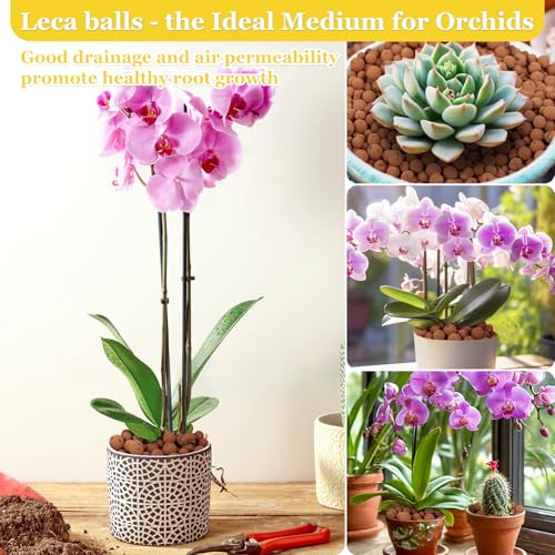 10LB Organic Leca Clay Pebbles for Plants, 4-16mm Natural Leca Ball | Reusable, Drainage, Aeration, Moisture Retention, Hydroponic, Lightweight for Orchids, Succulents, Terrarium, Indoor Plants - size: 10LB