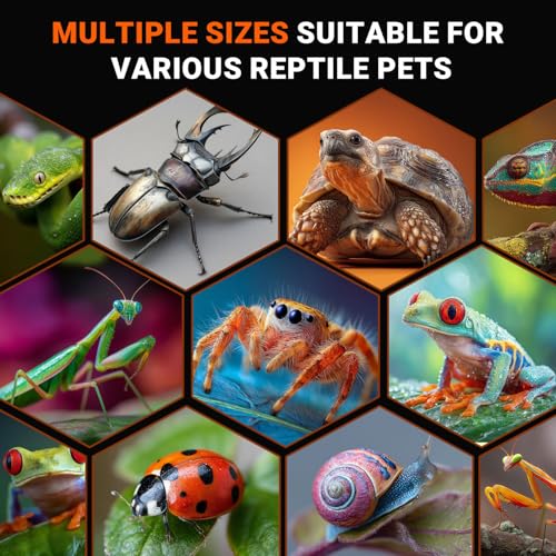 Jumping Spider Enclosure, Acrylic Terrarium with with Magnetic Doors, 0.8mm Micro-Ventilation, Stackable Escape-Proof Habitat for Jumping Spiders, Tarantulas & Small Reptiles, 3”x3”x6” | Baby Jumping Spider Enclosure, Small Jumping Spider Enclosure, Acryl