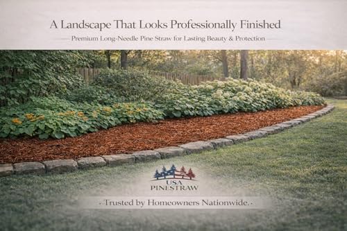 Long Needle Pine Straw Mulch - 240 Sqft Coverage 1 Set - Premium USA Harvested PineStraw for Landscaping, Weed Control, Moisture Retention & Erosion Control - USA Pinestraw - size: Long Needle - 240 Sqft - New Bigger Box 1 set