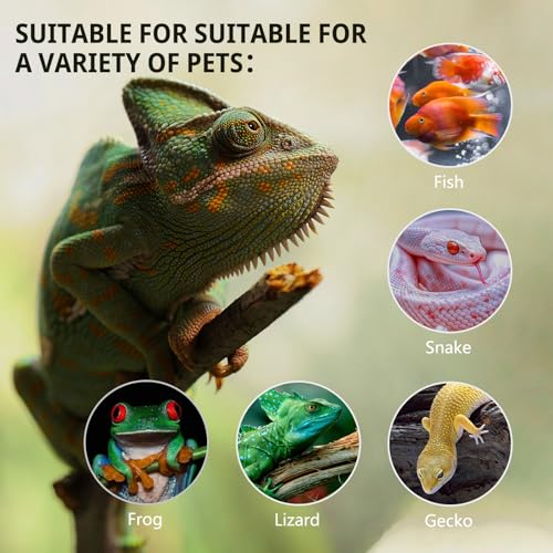 11 Gallon Tall Reptile Glass Tank 12"x12"x18" with Drainage Hole - Pre-Assembled Vertical Reptile Cage Enclosure for Arboreal Geckos,Chameleon,Lizard,Tree Frog and Snake
