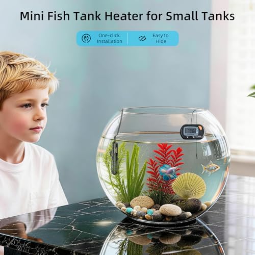 HiTauing Small Aquarium Heater 25W, Constant Temperature 78β Fish Tank Heater with Digital Thermometer, Submersible Betta/Turtle Tank Heater for Freshwater and Saltwater Tanks