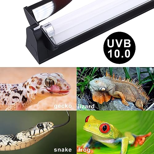 Aiicioo T5 UVB Lighting Combo Kit - 12" Light Fixture Desert 10.0 Terrarium Hood Light Fixture & High Output T5 HO UVB Bulb for Reptiles Chameleon Gecko (watts, 8) - size: 12Inch 8W