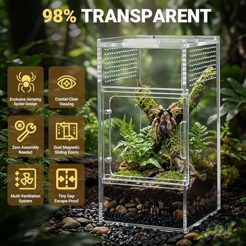 Jumping Spider Enclosure - Acrylic Terrarium Habitat for Spiders, Tarantulas, Snail, Mantis, Lizard, and Small Reptiles, Magnetic Doors (3x3x6 inch) - size: 3x3x6inch