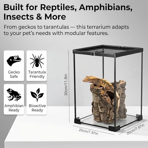 8x8x12 Terrarium Glass Tarantula Enclosure: Full View Stackable Tank | Jumping Spider Enclosure with Lockable Sliding Screen Top for Crested Gecko Hermit Crab - Vertical Habitat for Arboreal Frog - color: Glass, size: 8x8x12