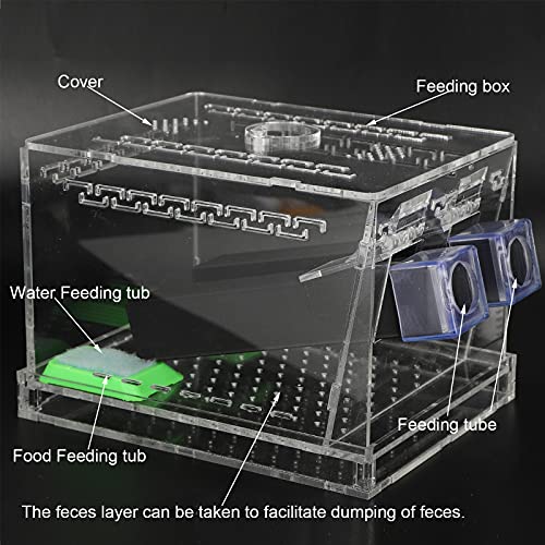 SUNGOOYUE Cricket Keeper Box, Acrylic Feeding Box with Water Food Tub, Clear Ventilated Lid and Waste Tray, 15x10x10cm for Reptile Terrarium Breeding Home Office (Large Size) - size: Large Size