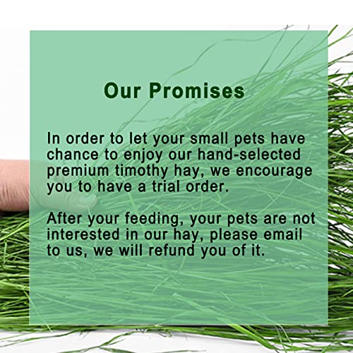Timothy Hay, 1.1LB Small Pet Feed | Dust-free, natural fresh green hay, suitable for rabbits, guinea pigs, chinchillas, tortoises
