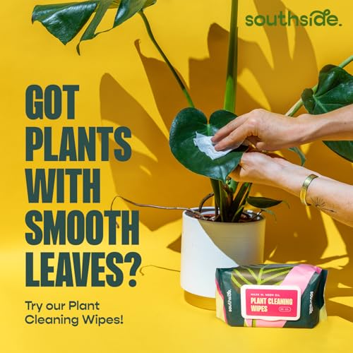 Southside Plant Cactus & Succulent Plants Cleaning Brushes - Wooden Handles w/Soft Goat Hair Bristles - Garden Cleaning Tools, Gentle on Plants, 7" & 3.2" Sizes - Pack of 2