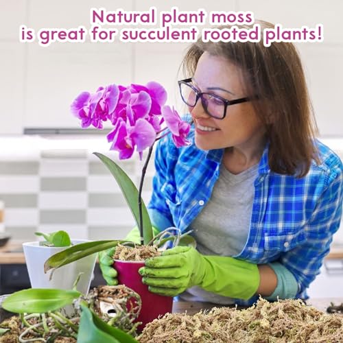 Riare 5.3OZ Premium Sphagnum Moss for Plants- Natural Long Fiber Plant Moss | High Expansion, Moisture Retention & Drainage, Dried Orchid Moss for Succulent, Carnivorous, Ferns, Reptiles & Terrariums - size: 6QT/5.3oz
