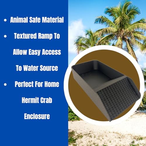 Hermit Crab, Lizard, Turtle, Amphibian XL Watering Pool | Platform Pool Accessory with Access Ramp for Pet Habitats | 9.75" x 5" | Made in USA (X-Large) (Salt Only, Black) - color: Salt Only, Black