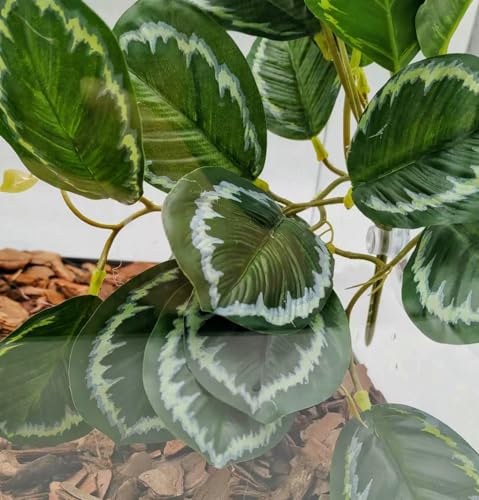 Reptile Plants for Terrarium,Reptile Tank Decor,Artificial Plant | Fake Plant for Ball Python Gecko Bearded Dragon Snake,Hanging Plants with Suction Cup,Amphibian Habitat Decor-2 Pack - color: (Calathea Makoyana
