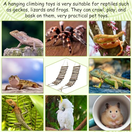 VCEPJH Reptile Bridge for Terrarium 2 Pack Wooden Bearded Dragon Climbing Ladder Hanging Flexible Swing Tank Deor Accessories for Gecko Hermit Crab Chameleons Turtle Lizard Frog