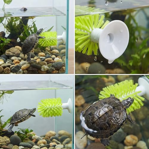 shuielai1PCS Turtle Brush with Suction Cup, Tank Scratch Scrub Back Shell Cleaner for Red Eared Slider, Exfoliate Remove Scutes, Green Turtle Aquarium Habitat Accessories