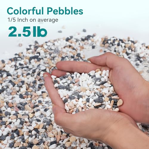 2.5 lbs Small Rocks for Succulents, 1/5 Inch Pebbles for Indoor Plants, Decorative Pea Gravel for Terrarium, Vases, Aquariums, Fish Tank, Drainage Rocks for Potted Plants, Bamboo,Crafts, Cactus - color: Mixed