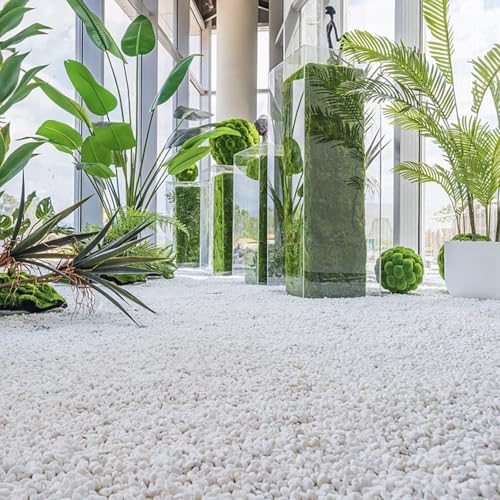 15lbs White Rocks, 3/8 Inch Small White Pebbles for Plants, Vase, Garden, Decorative Pea Gravel for Landscaping, Polished - size: 15lb, style: White