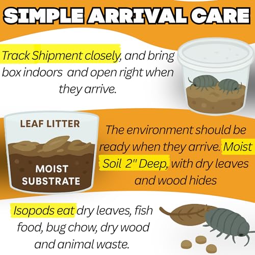 Dwarf White Isopods (Qty-25), Bioactive Clean Up Crew Frog Reptile Amphibian Food Bundle - by TC INSECTS