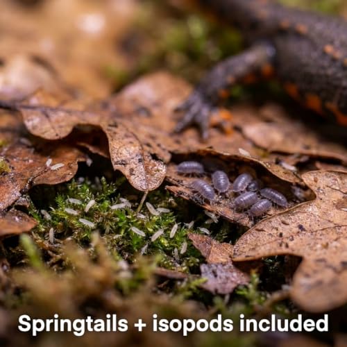 Newt/Salamander Bioactive Kit - 14qt Premium Bioactive Substrate + 4qt Leaf Litter + 4qt Sphagnum + Charcoal Iso-Flats Hide + 25 Dwarf Purple Isopods + 8oz Temperate Springtails
