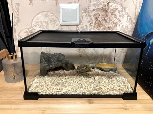 AWXZOM Mini Reptile Glass Terrarium Tank, cage for Tarantula Sling Geckos, Frog, Lizards, Chameleons,Turtles Snake Snail Insect Hermit Crab Isopods Reptiles Enclosure (12x8x6inch) - size: 12x8x6inch