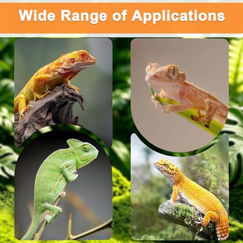 PurifyLogix 3in1 Reptile 550ML Waterfall Fountain with Food Dish & Hideout | Adjustable Flow Drinking Fountain for Bearded Dragon, Water Dispenser, Gecko, Lizard, Chameleon, Natural Resin