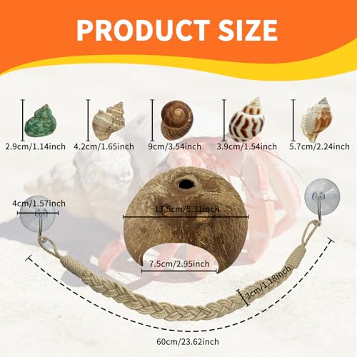 2 Pcs Hermit Crab Climbing Accessories Reptile Climb Rope | 4 Hook Suction Cup Included, Natural Coconut Shells Hut, Conch Shells, For Hermit Crabs Lizards Geckos Snakes Tree Frog