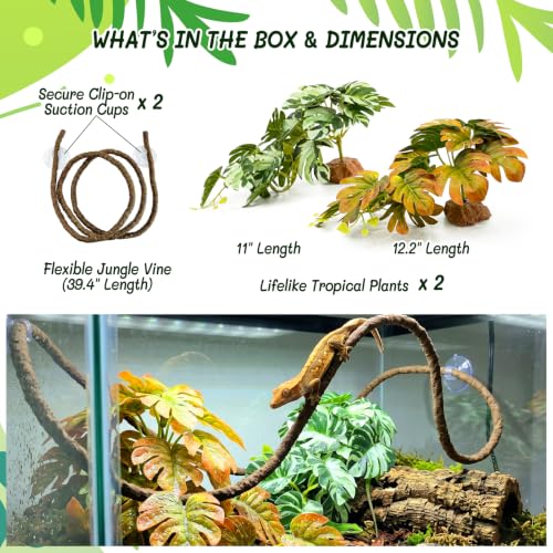 3PC Reptile Tank Plants Habitat Decor Kit – Realistic Artificial Reptile Plants with Hanging Vine, Resin Stone Base – Rainforest Climbing & Hideout Terrarium for Crested Gecko & Snake(Monstera) - color: Monstera Deliciosa
