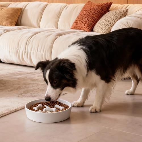 Ceramic Slow Feeder Dog Bowls, Ceramic Slow Feeder Maze Dog Food Bowl, Slow Eating Dog Bowl and Slow Feeder Dog Bowl Anti-Choking for Daily Pet Feeding (White Bone) - color: White Bone