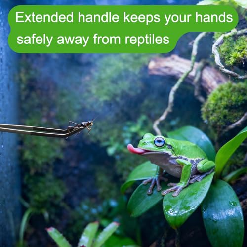 2 Pcs Extra Long Stainless Steel Reptile Feeding Tongs 10.6 IN with Soft Rubber Tip – Straight & Curved Tweezers for Bearded Dragon, Tank Accessories, Lizards, Terrarium, Aquarium, Leopard Gecko
