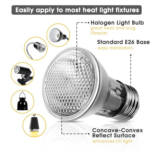 Reptile Heat Bulb, 75W UVA Reptile Light Bulbs Dimmable Heat Lamp | 2 Pack Basking Spot Light Bulbs for Reptiles, Amphibian, Bearded Dragon, Lizard, Chicken - color: Cream-75w Th11