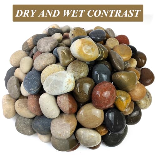 FANTIAN 10 lbs Large River Rocks, 3-4 Inch Pebbles for Landscaping | Natural Decorative Stones River Rocks for Plants, Garden, Aquarium, Backyard, Indoor Water Fountains - color: Mixed, size: 10 lbs, 3-4 Inch