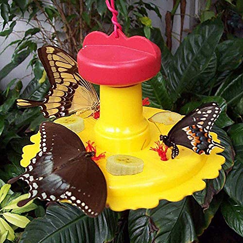 SE78215 Butterfly Feeder/Nectar Combo (Set of 1)
