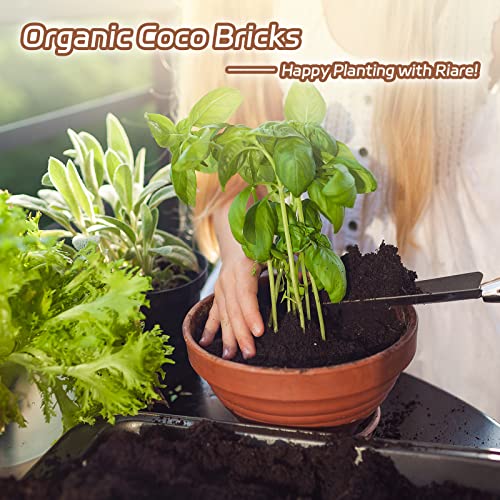 Riare 10pcs Organic Coco Coir Bricks, Natural Coconut Coir for Plants | High Expansion & Moisture Retention Coconut Husk Fiber for Seed Starting, Potting Mix, Composting, Soil Amendment & Reptiles - color: Pack of 10