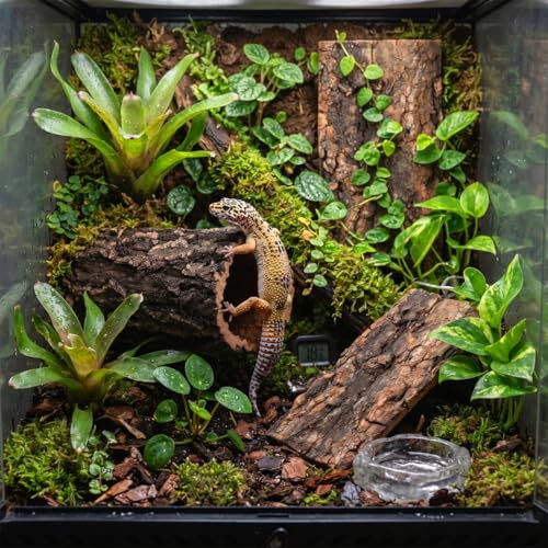 Natural Cork Bark for Reptiles - 3Pcs Reptile Hide & Terrarium Decor Set - Wood Log Rounds & Flats for Leopard Gecko, Bearded Dragon, Snake & Crested Gecko Habitat - Climbing Surface