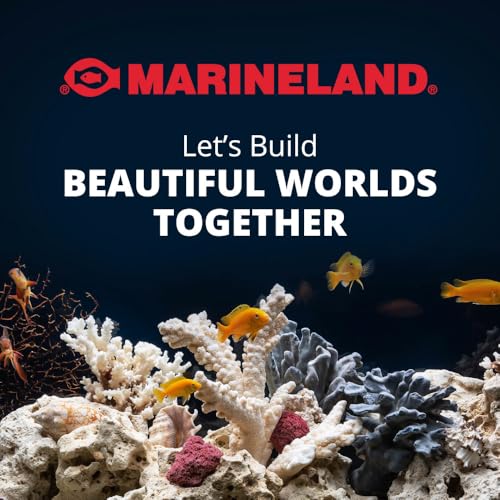 Marineland Precision Heater for Saltwater or Freshwater Aquariums - size: 100-watt