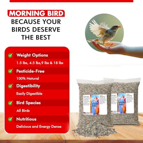 Morning Bird Oyster Shell 18 lb - Natural Calcium Supplement for Birds | Natural Calcium Bird Supplement – Sustainably Harvested from California Coastal Waters – Safe Year Round Bird Food Additive - size: 18 lbs (2-Pack of 9 lbs)