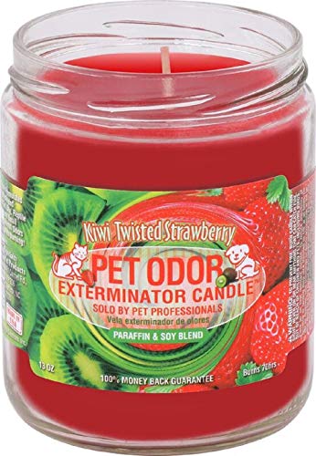 Kiwi Twisted Strawberry Pet Odor Exterminator 13 Ounce Jar Candle - color: Kiwi Twisted Strawberry