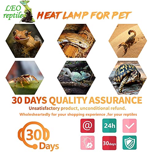 Leoterra Reptile UVB Light Bulb 26W 10.0, High Intensity UVB Light for Bearded Dragon, Veiled Chameleons & Adult Red-Eared Sliders in Large Terrarium, Powerful UVA UVB for Reptile - size: 26w 10.0