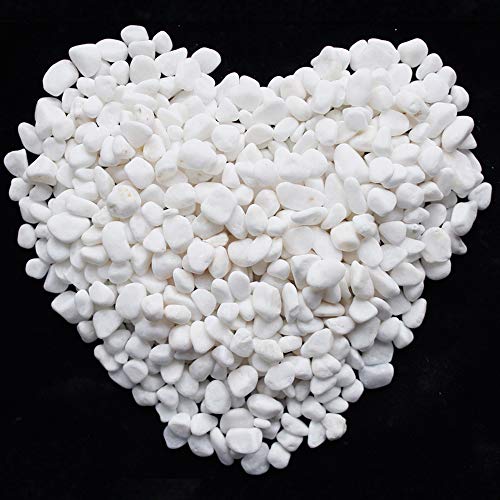 WAYBER White Decorative Gravel Stones for Aquarium & Bonsai Decor, 2 Pounds | Toxin-Free, Fade-Resistant, Ideal for Reiki Healing, DIY Crafts, Vase Filler, Aquarium & Bonsai Decoration - color: White, size: 2 Pounds