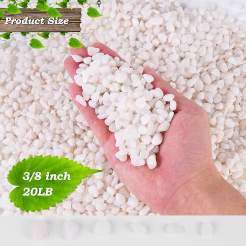 20 lbs White Gravel, 3/8 Inch Small Pebbles for Plants, Suitable for Potted Plants,Small Rocks for Plants, Cactus Potted Plants, Fish Tanks,Vases, - color: White, size: 3/8 Inch 20 LB