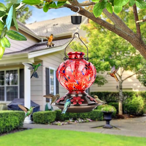 Hummingbird Feeders for Outdoors Hanging, Hand Blown Glass, Red | 22oz, with Ant Moat, 5 Bee-Proof Ports, Leak-Proof, 360° Perch, Easy Refill & Clean, Garden Decor Gifts for Women Men Mom Dad - color: Red