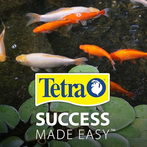 Tetra Pond Sticks Fish Food For Goldfish & Koi, 1.72 lbs | Healthy Daily Diet For All Pond Fish, Easy To Digest Floating Sticks Promote Clearer Water, Feed When Water Is +50 Degrees - size: 1.72 Pound (Pack of 1)