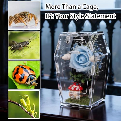Clear Acrylic Reptile Enclosure with Magnetic Front Opening, Ventilated Small Pet Habitat and Breeding Box for Lizards, Geckos, Spiders, Insects and Amphibians, 7.09 x 3.94 x 2.68 Inches