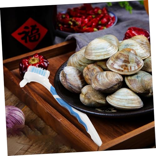 2pcs Bristles Double-Sided Brush Turtle Shell Clean Brush for Reptile Multi-Functional Home Cleaning Tool